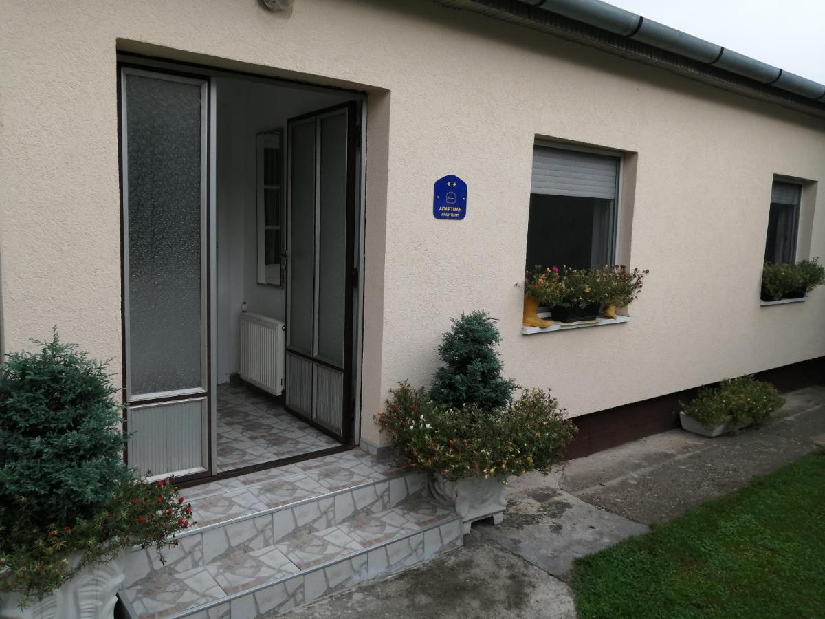 Green Apartment 诺威萨 外观 照片