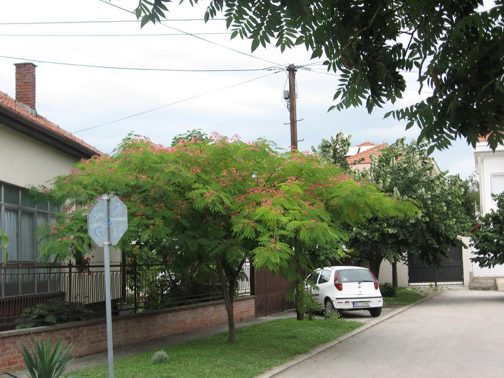 Green Apartment 诺威萨 外观 照片