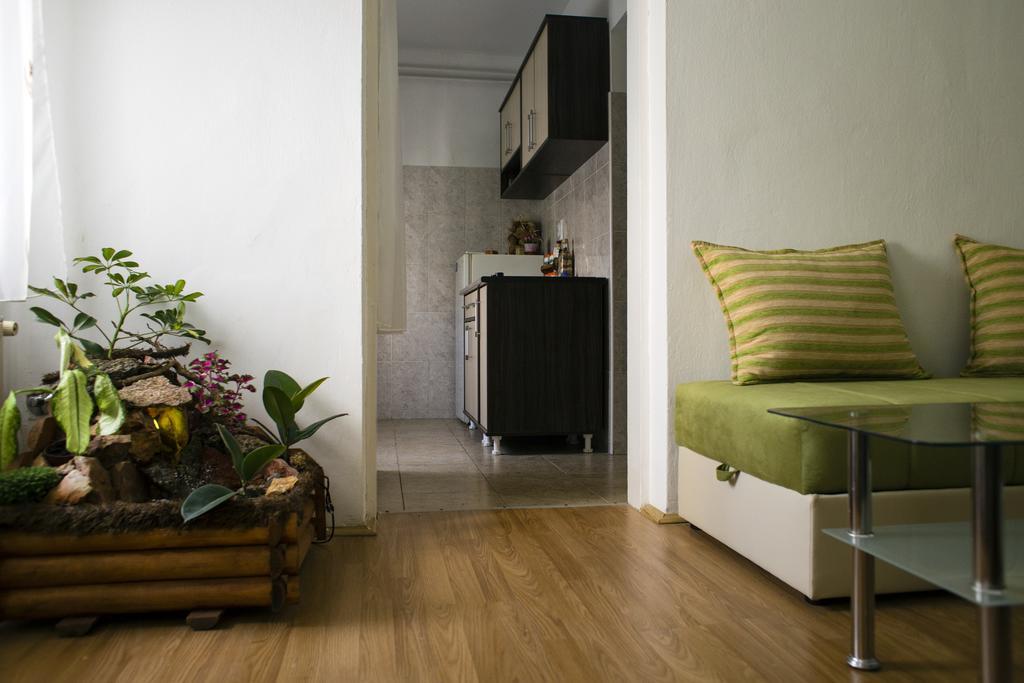 Green Apartment 诺威萨 外观 照片